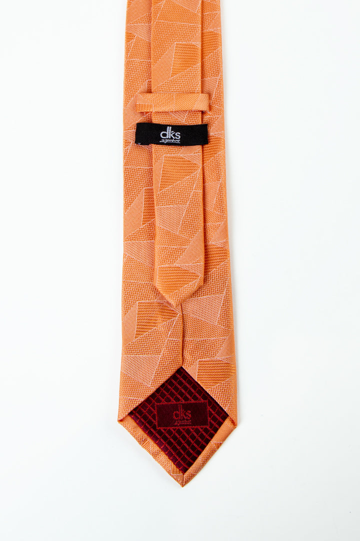 alt="DKS signature classic neck tie formal back view"