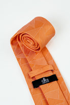 alt="DKS signature classic neck tie formal close up view"